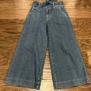 Joie Marylu Tie Culottes Wide Leg Ankle High Rise Size 2